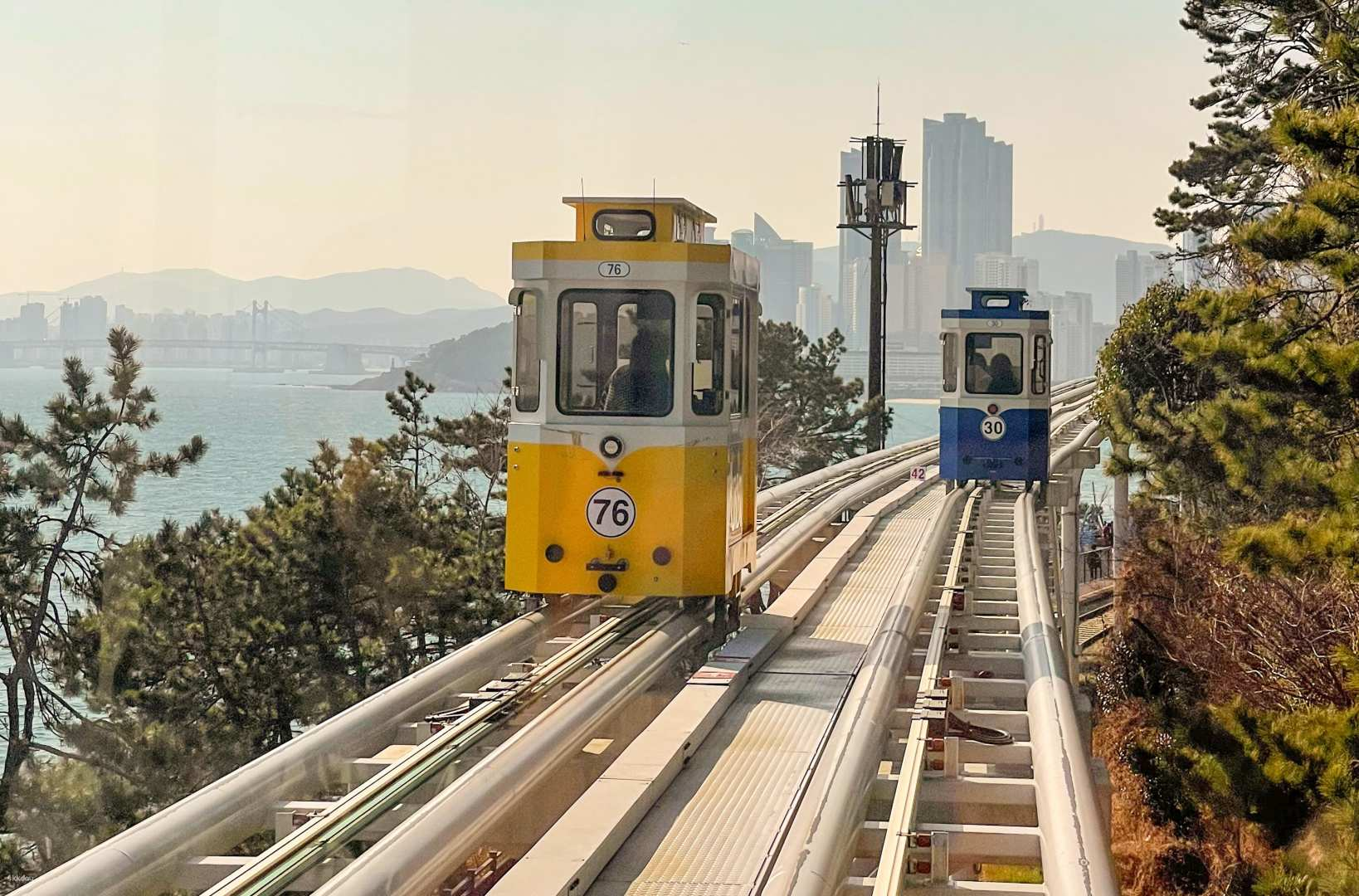 Experience the charm of Busan's coastal views aboard the scenic Blue Line Park train weaving through lush landscapes and connecting to popular spots like BUSAN X the SKY.